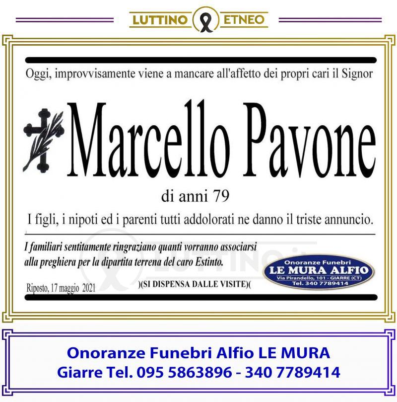 Marcello  Pavone 